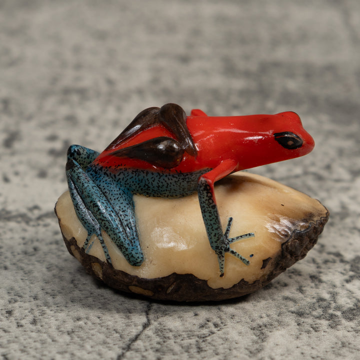 Red Black And Blue Poison Dart Frog Tagua Carving