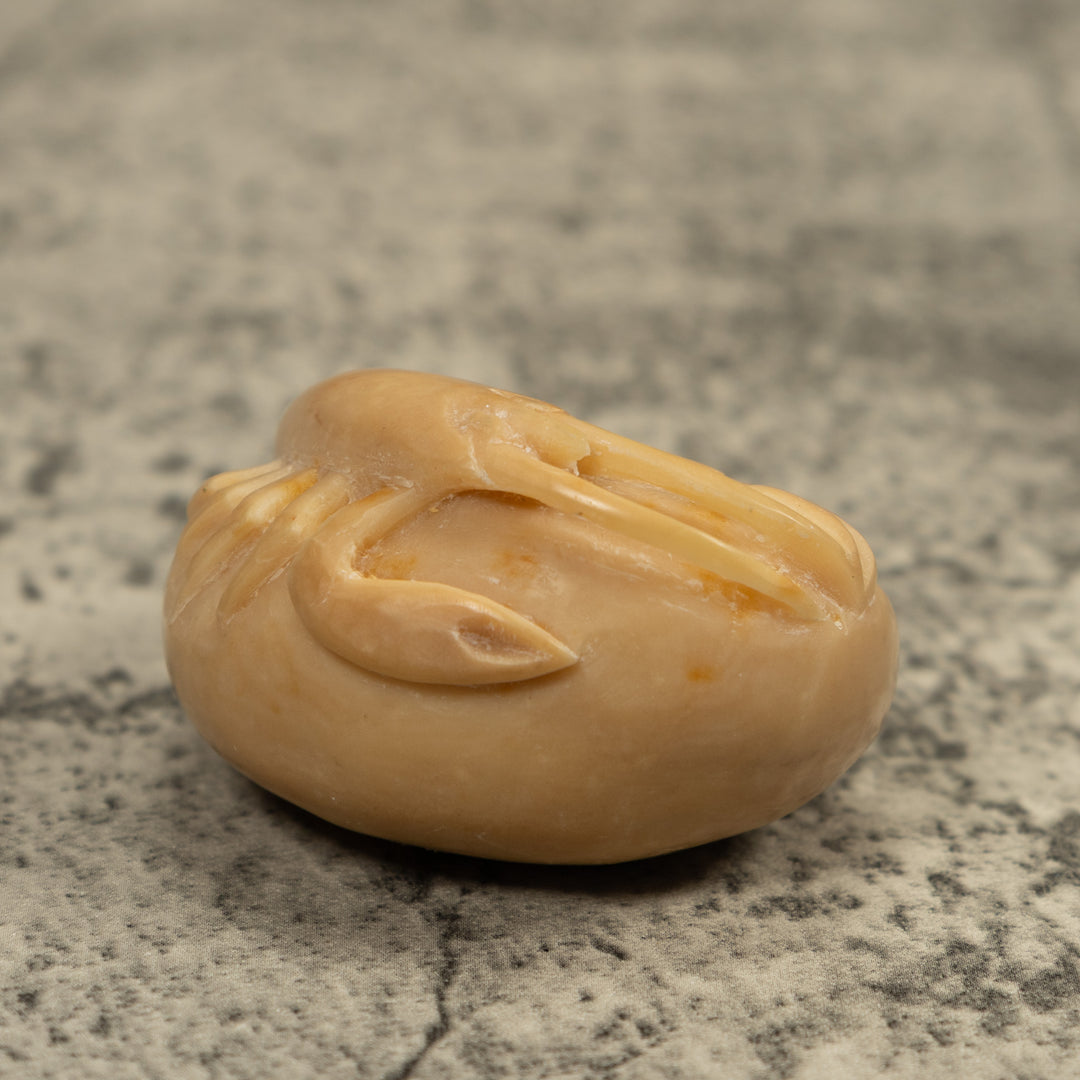 Vintage White Shrimp Tagua Carving