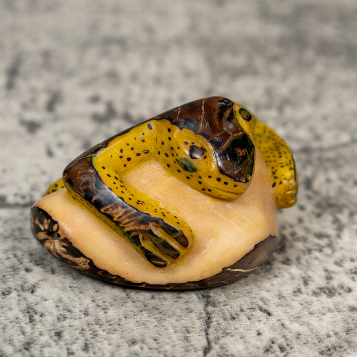 Vintage Yellow And Brown Frog Tagua Carving