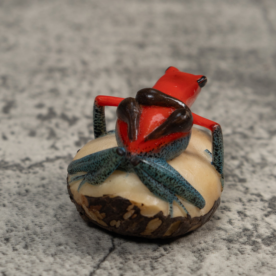 Red Black And Blue Poison Dart Frog Tagua Carving