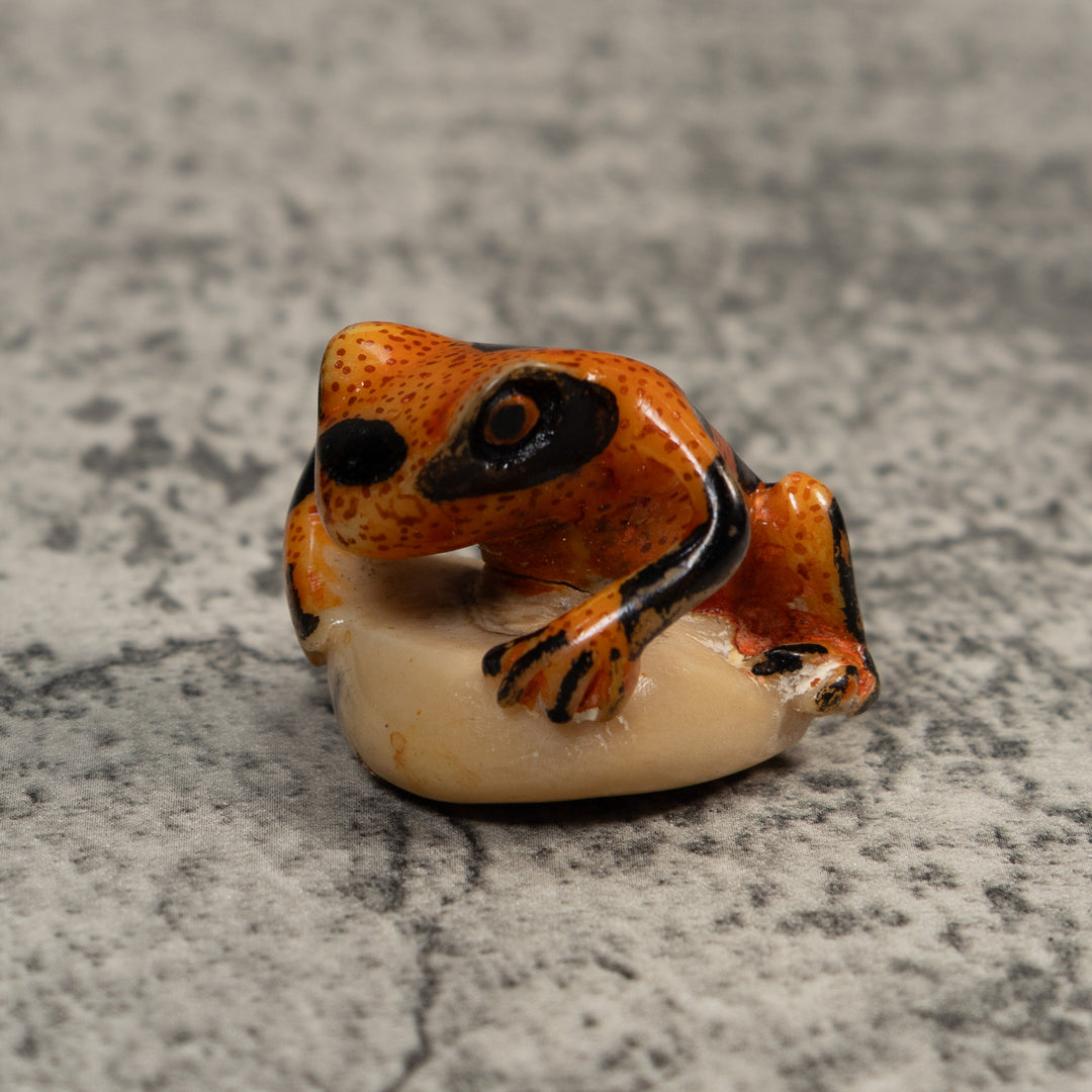 Vintage Poison Dart Frog Tagua Carving
