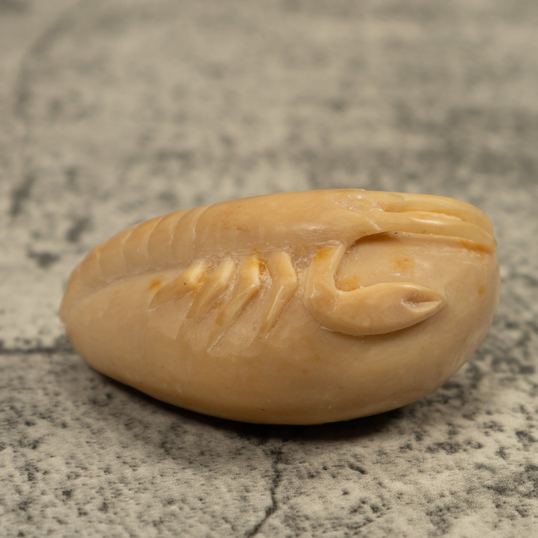 Vintage White Shrimp Tagua Carving