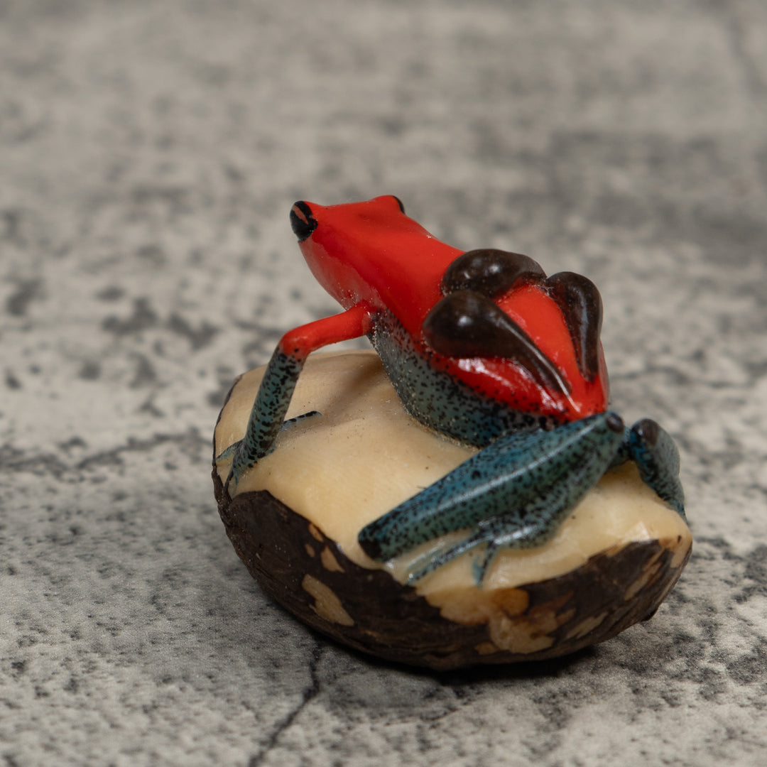 Red Black And Blue Poison Dart Frog Tagua Carving