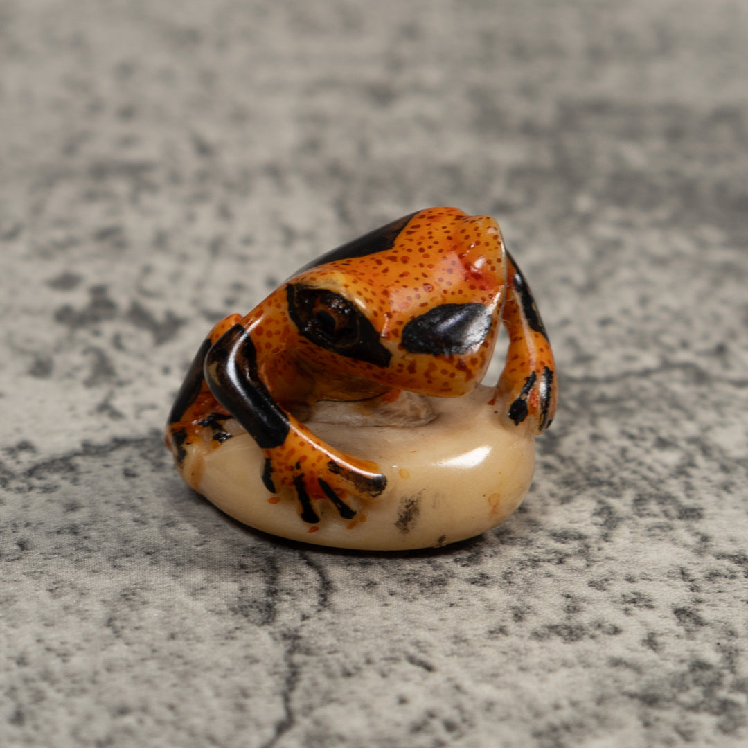Vintage Poison Dart Frog Tagua Carving