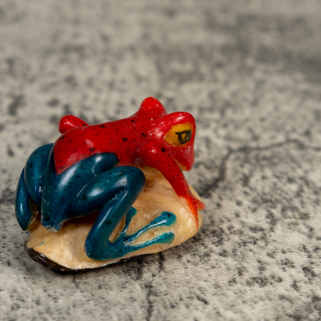 Red And Blue Poison Dart Frog Tagua Carving