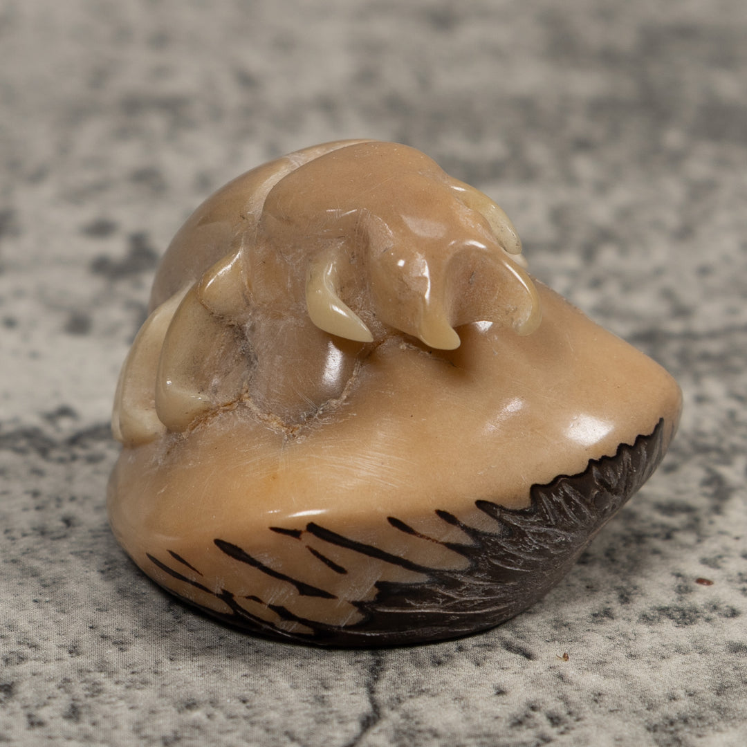 Vintage White Natural Insect Tagua Carving