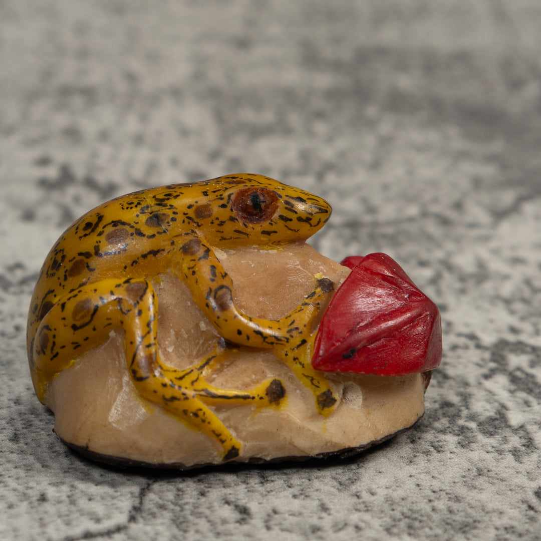 Yellow Black And Red Frog With Foliage Tagua Carving