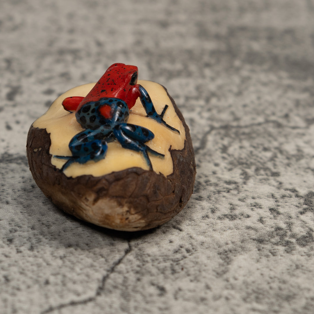 Red And Blue Poison Dart Frog Tagua Carving