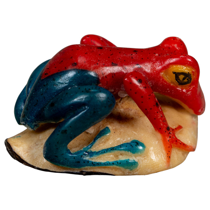 Red And Blue Poison Dart Frog Tagua Carving