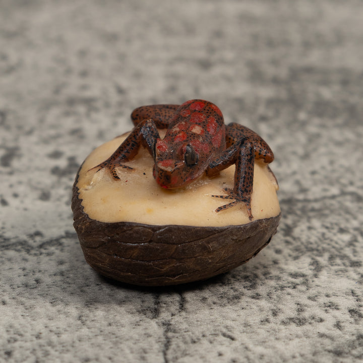 Red And Black Poison Dart Frog Tagua Carving