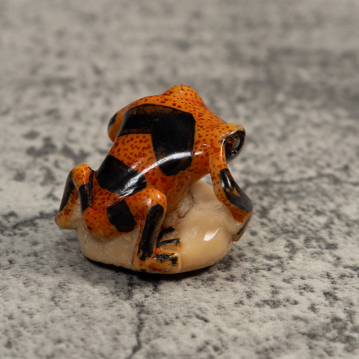 Vintage Poison Dart Frog Tagua Carving