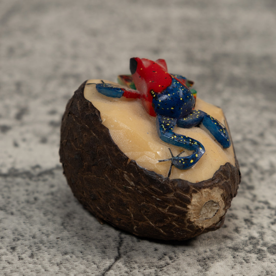 Red And Blue Poison Dart Frog Frog Tagua Carving
