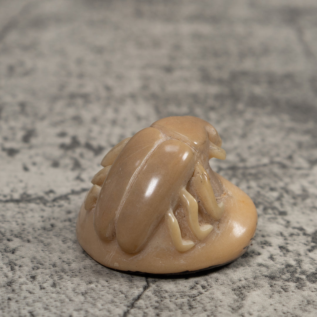 Vintage White Natural Insect Tagua Carving