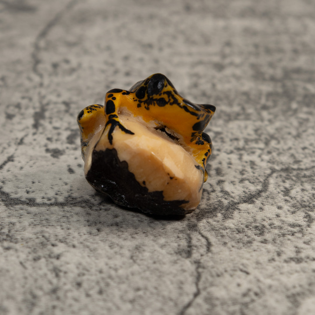 Brown And Black Poison Dart Frog Tagua Carving