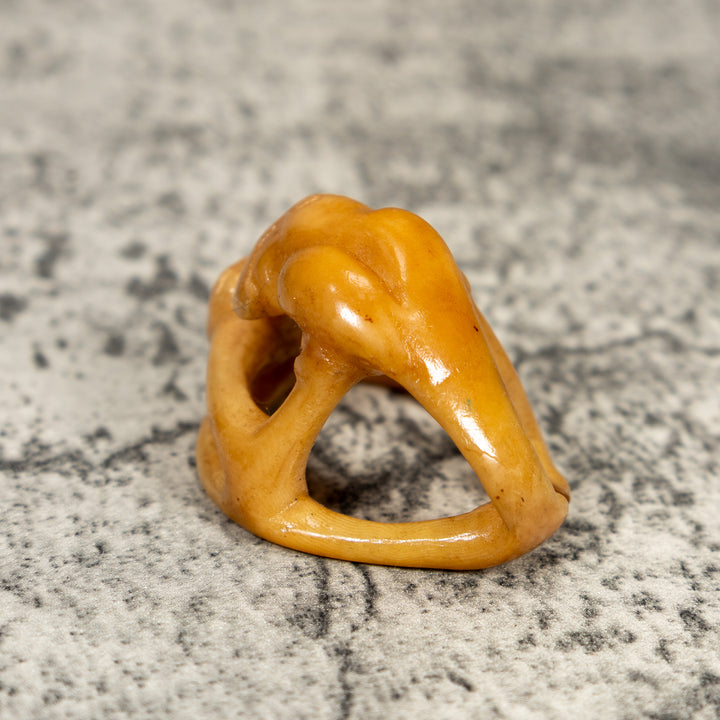 Natural White Dyed Parrot Bird Tagua Carving