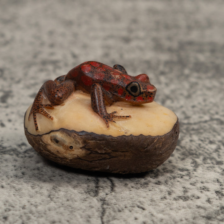 Red And Black Poison Dart Frog Tagua Carving