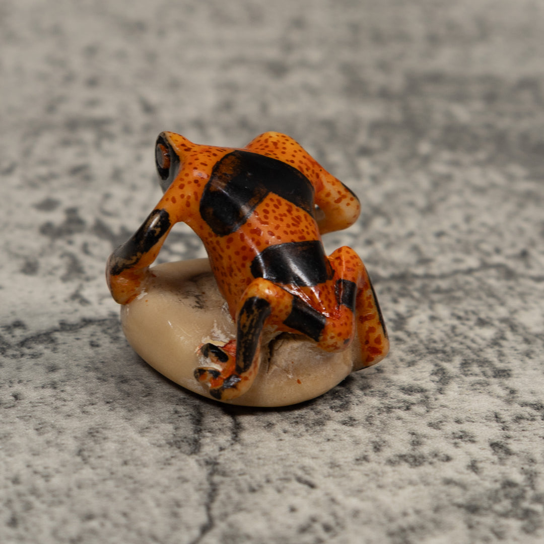 Vintage Poison Dart Frog Tagua Carving