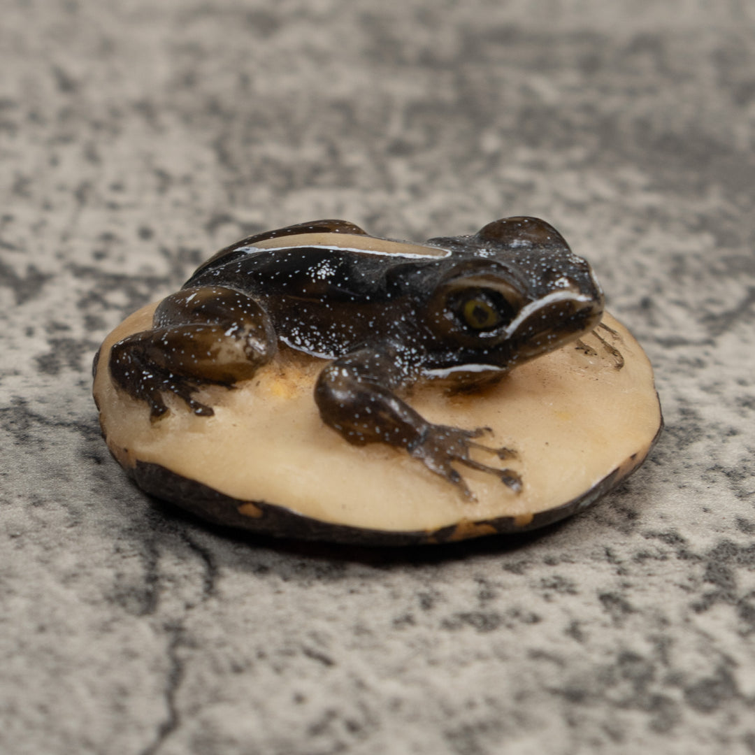 Brown Poison Dart Frog Tagua Carving