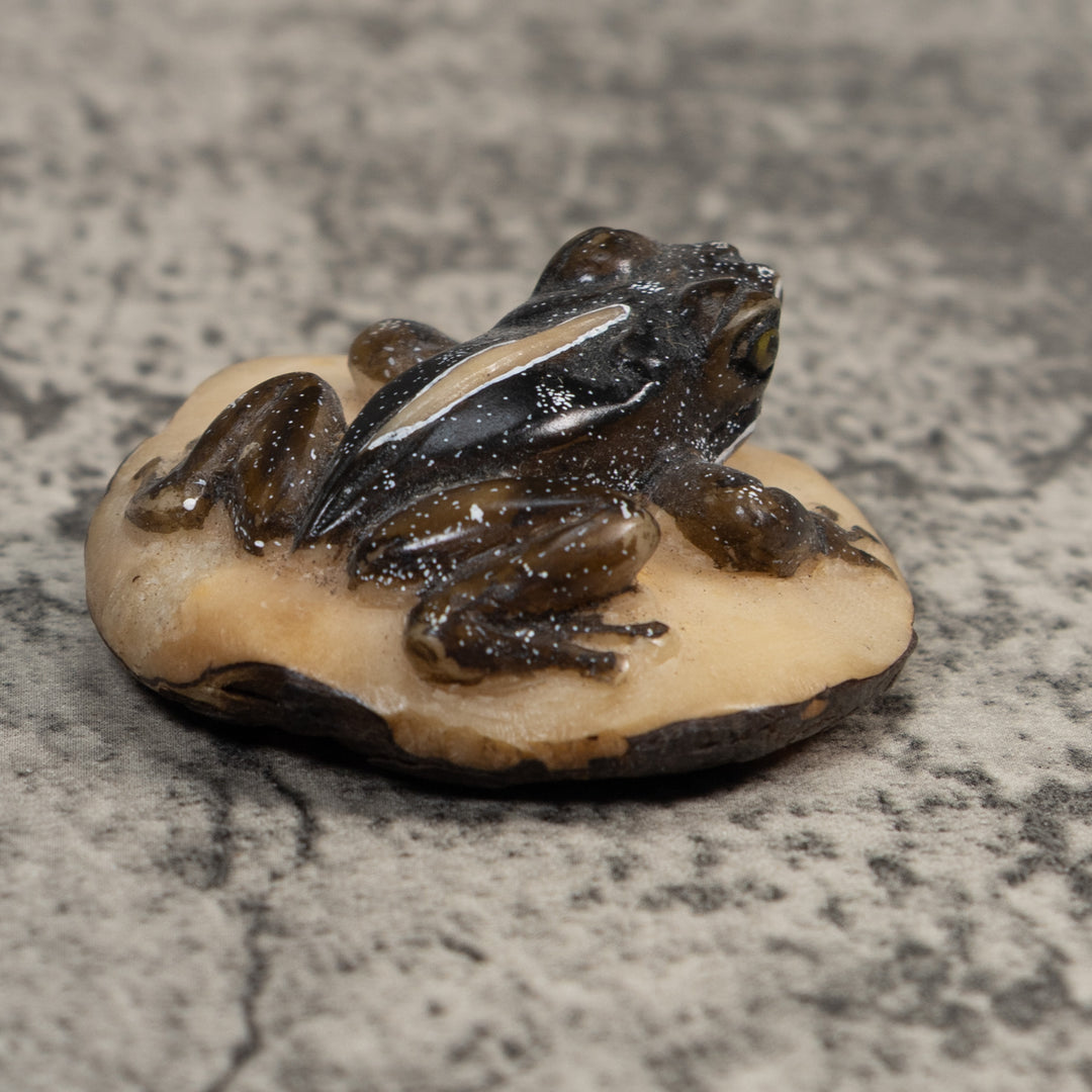 Brown Poison Dart Frog Tagua Carving