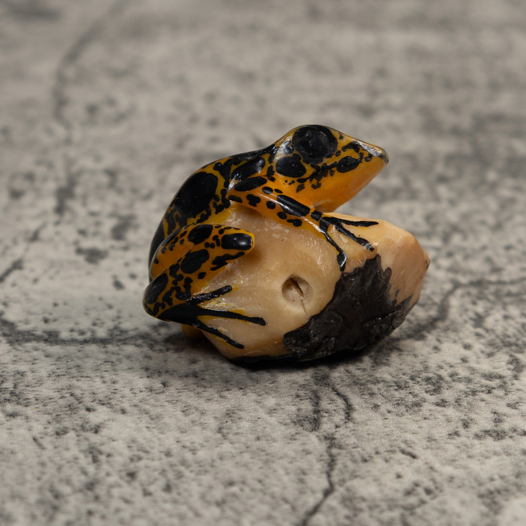 Brown And Black Poison Dart Frog Tagua Carving