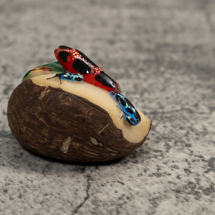 Blue Red And Black Poison Dart Frog Tagua Carving