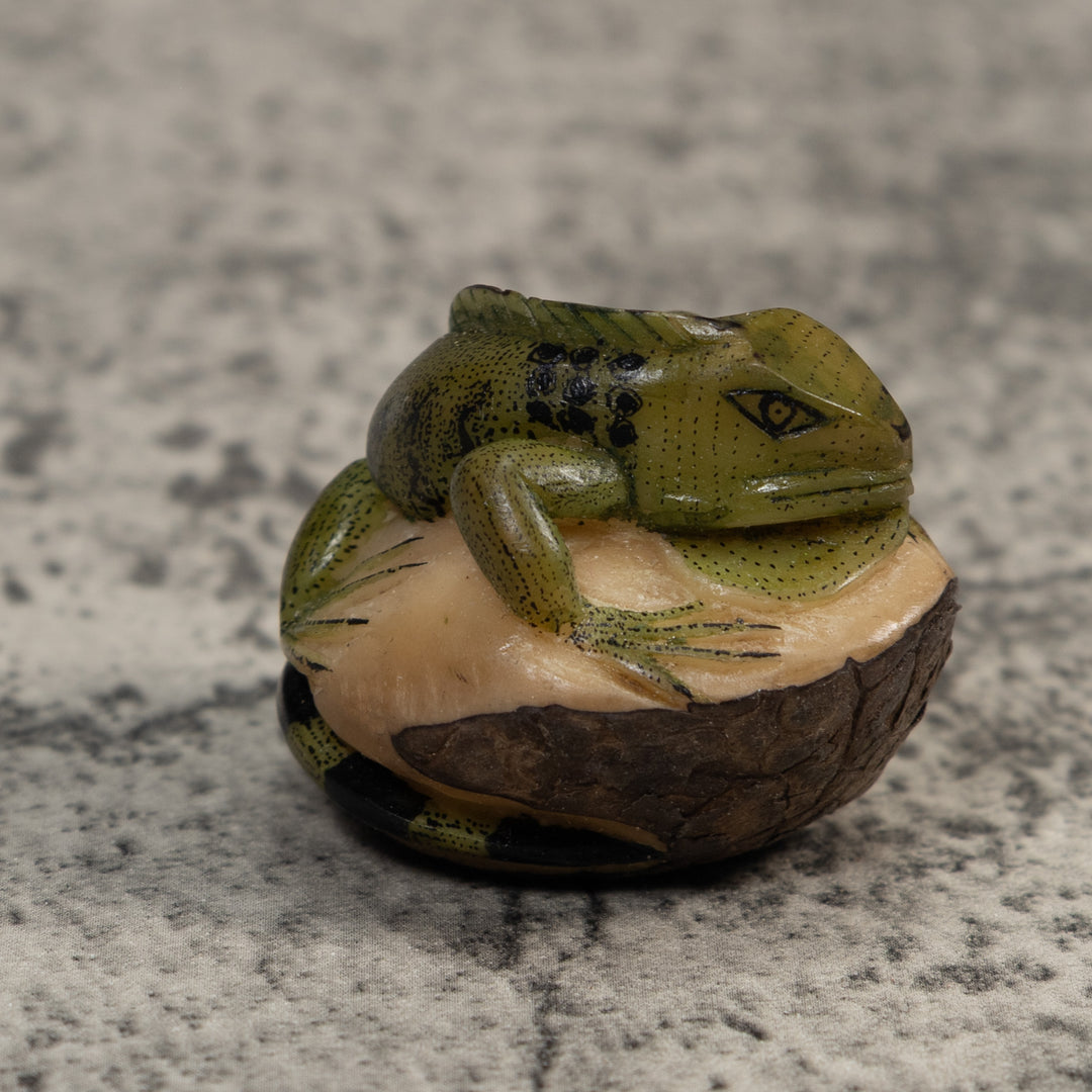 Green And Black Iguana Lizard Tagua Carving