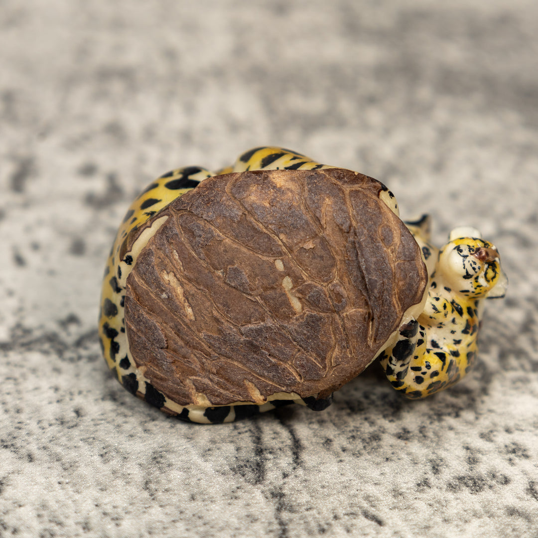 Jaguar Cat With Cub Tagua Carving