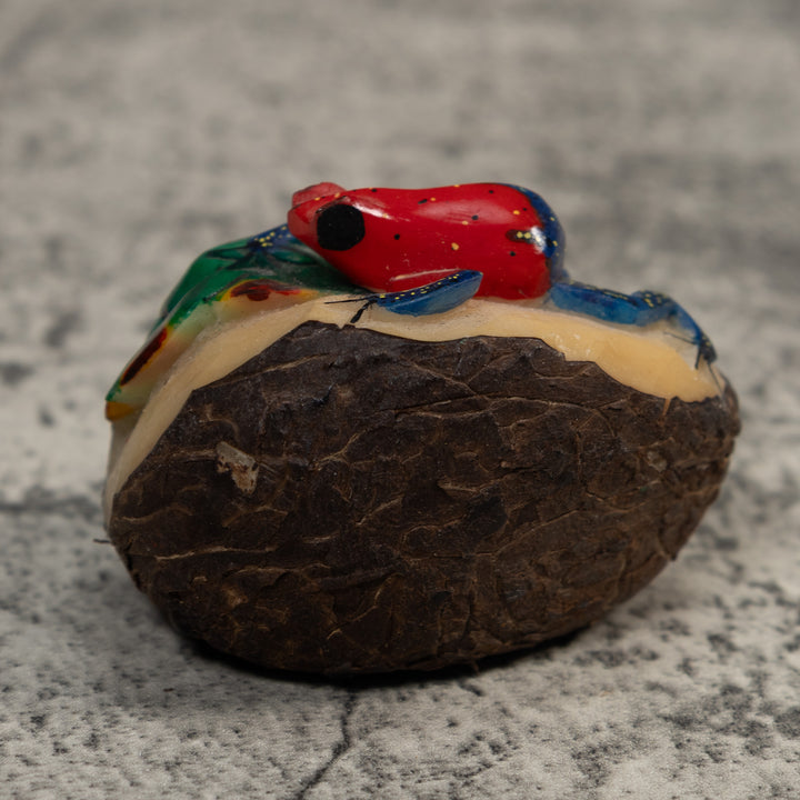 Red And Blue Poison Dart Frog Frog Tagua Carving