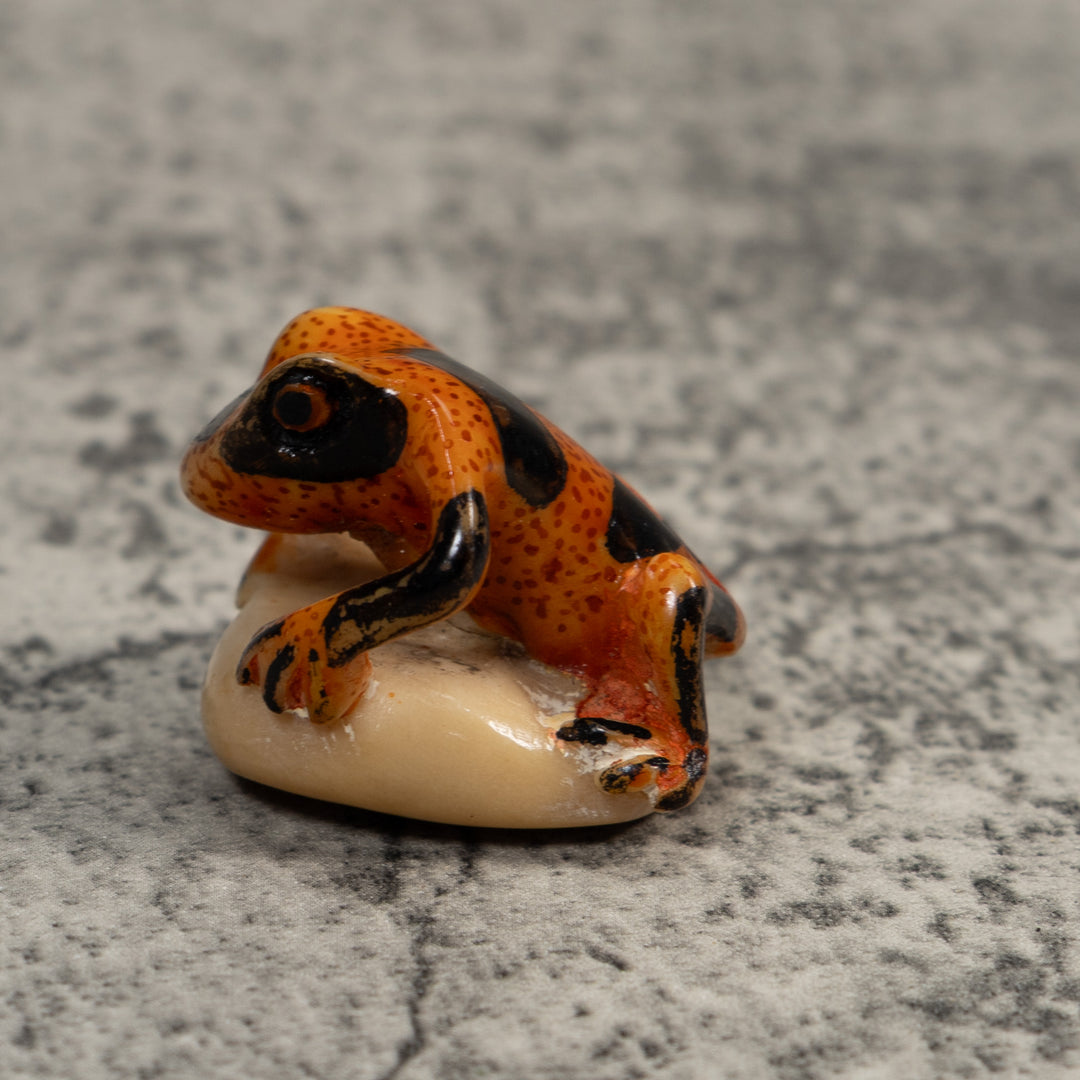 Vintage Poison Dart Frog Tagua Carving
