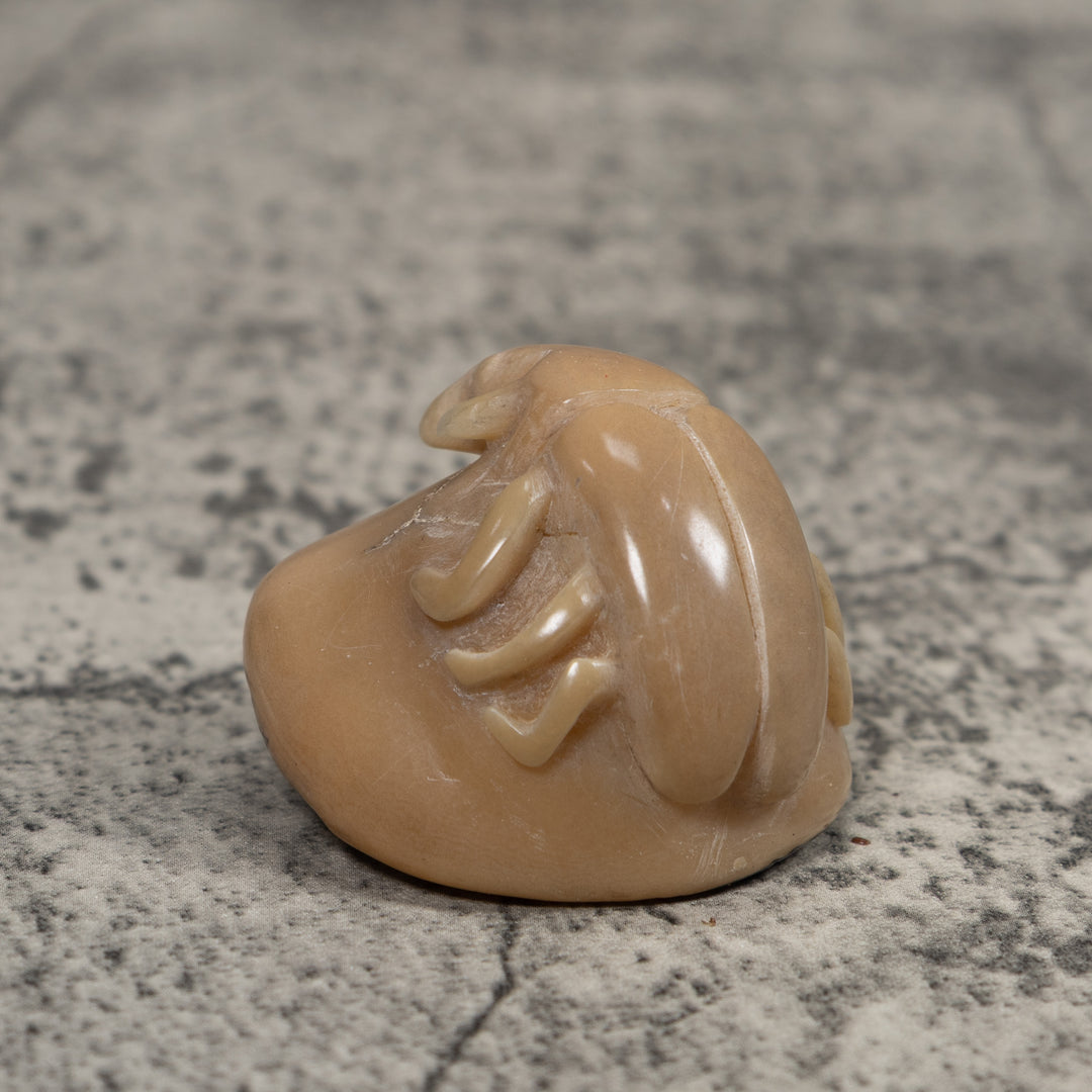 Vintage White Natural Insect Tagua Carving