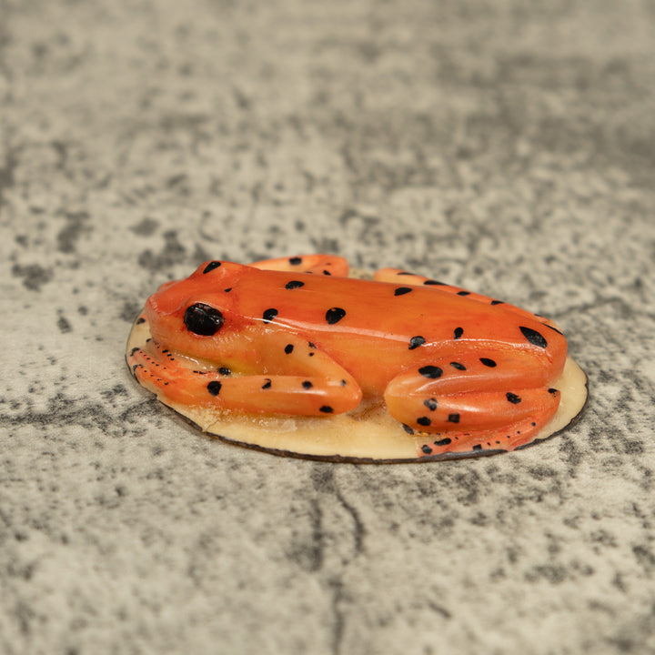 Orange Jungle Frog Tagua Carving