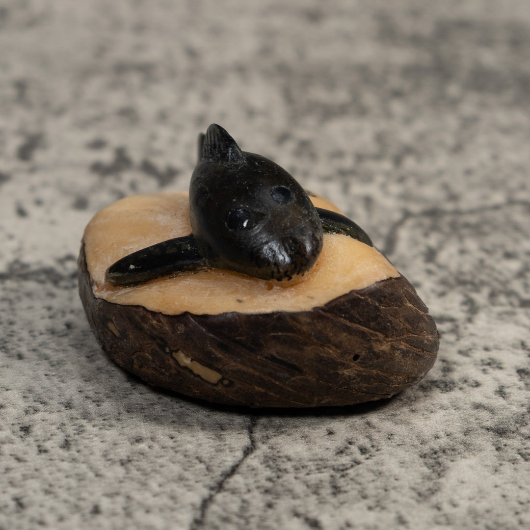 Black Dolphin Tagua Carving