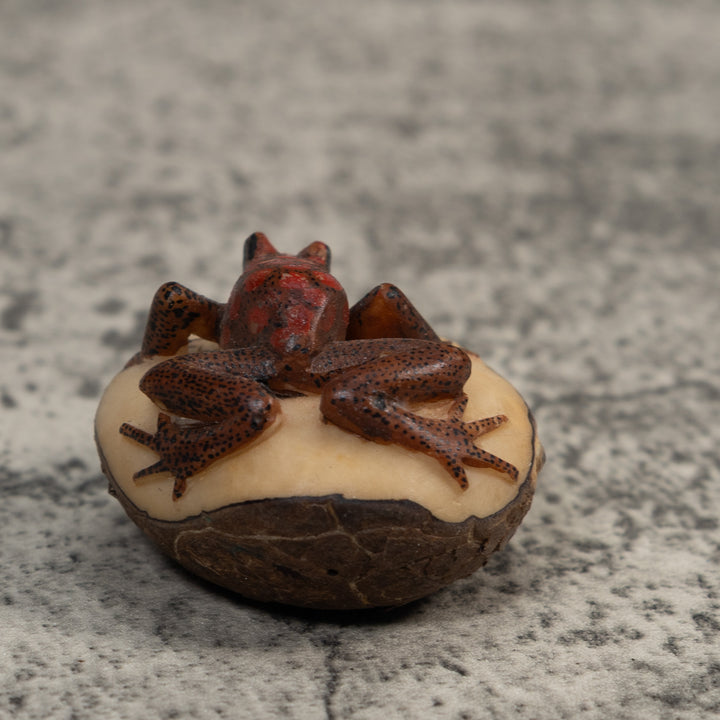 Red And Black Poison Dart Frog Tagua Carving