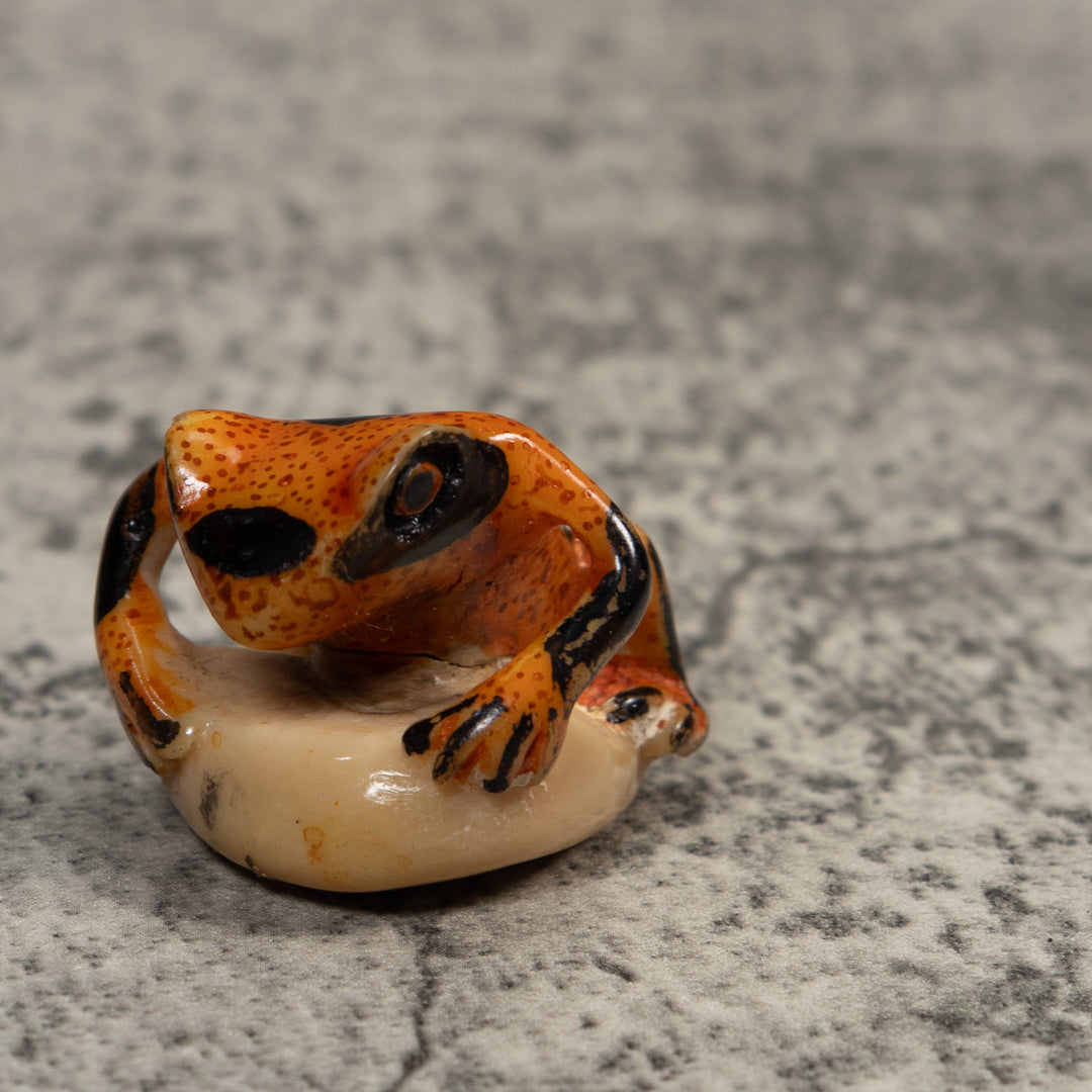 Vintage Poison Dart Frog Tagua Carving