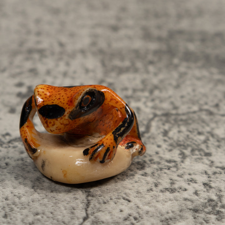Vintage Poison Dart Frog Tagua Carving