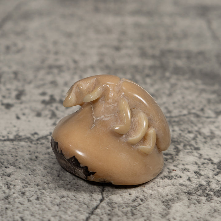 Vintage White Natural Insect Tagua Carving