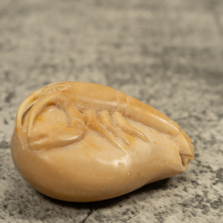 Vintage White Shrimp Tagua Carving