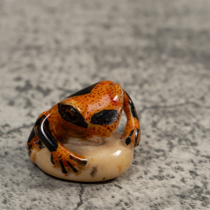 Vintage Poison Dart Frog Tagua Carving