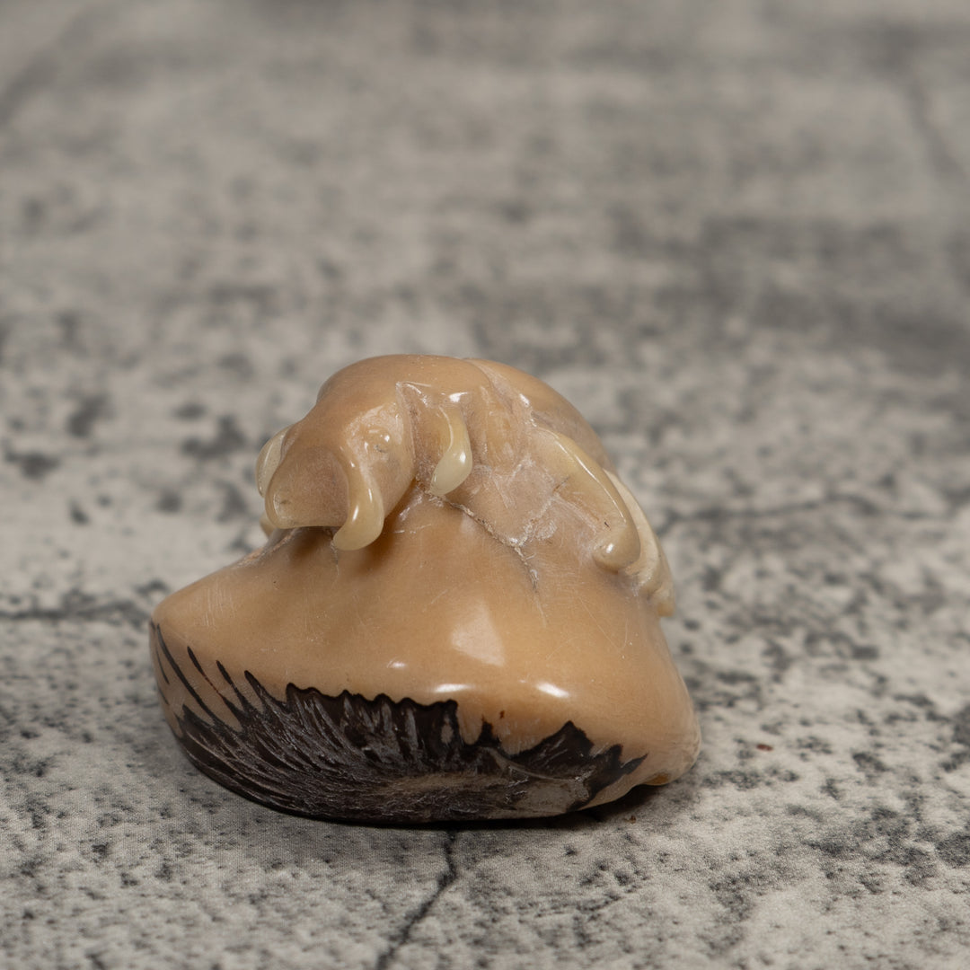 Vintage White Natural Insect Tagua Carving