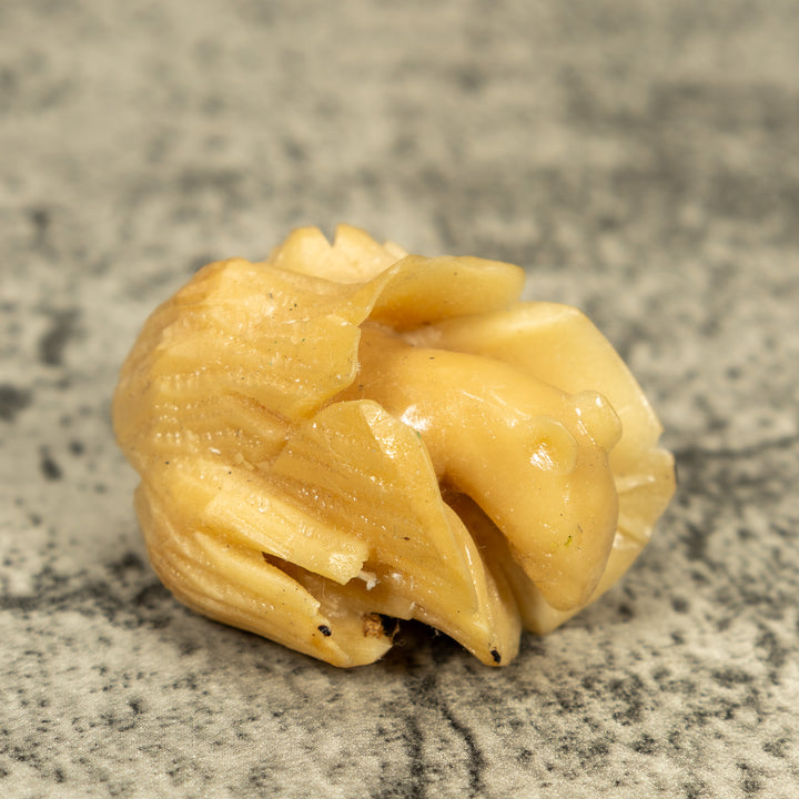 Natural White Neque Agouti And Wood Log Tagua Carving