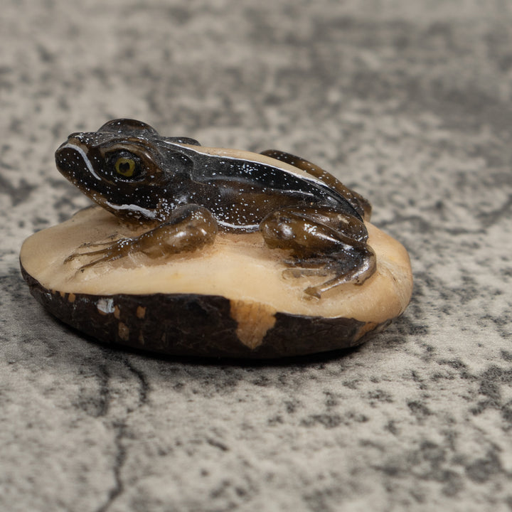 Brown Poison Dart Frog Tagua Carving