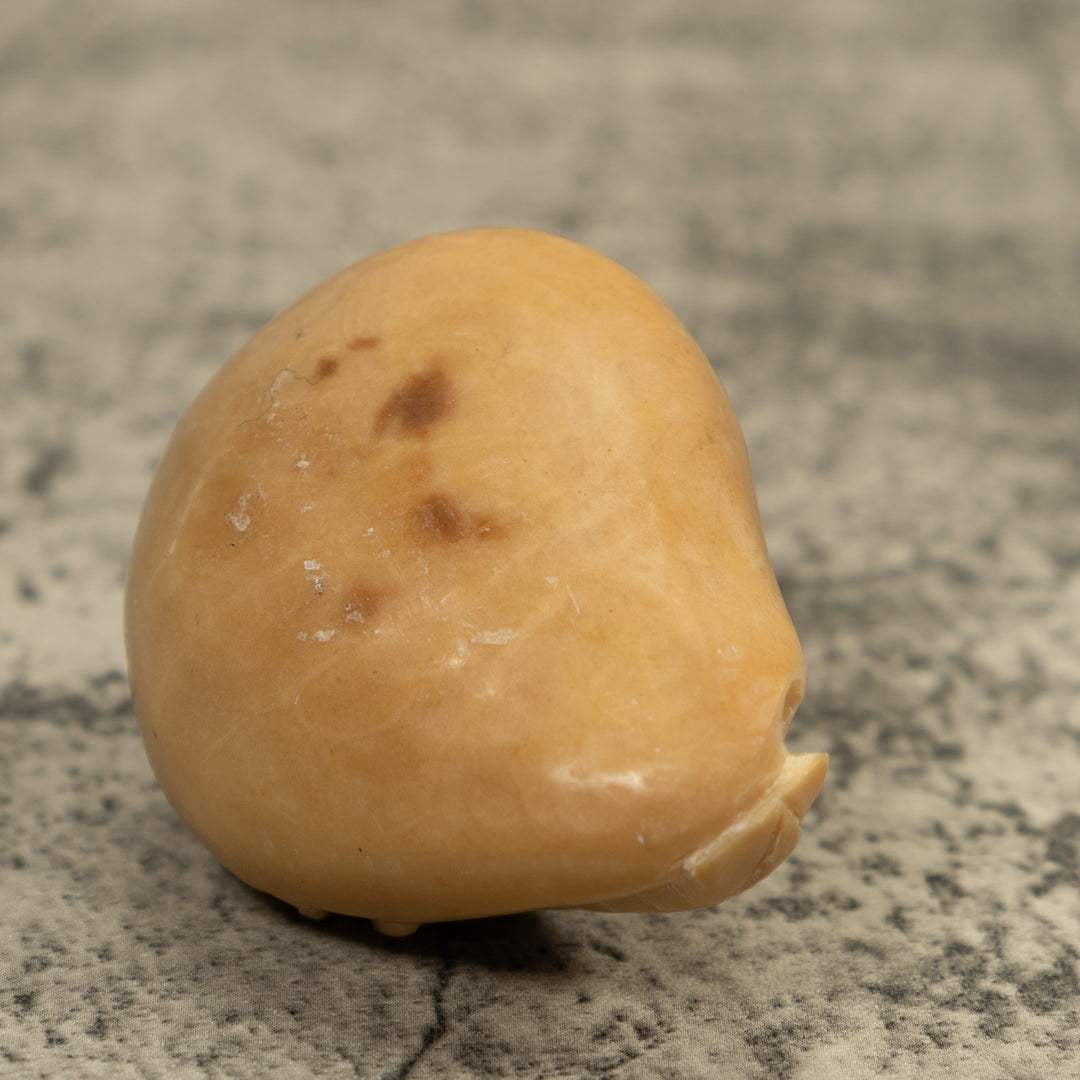 Vintage White Shrimp Tagua Carving