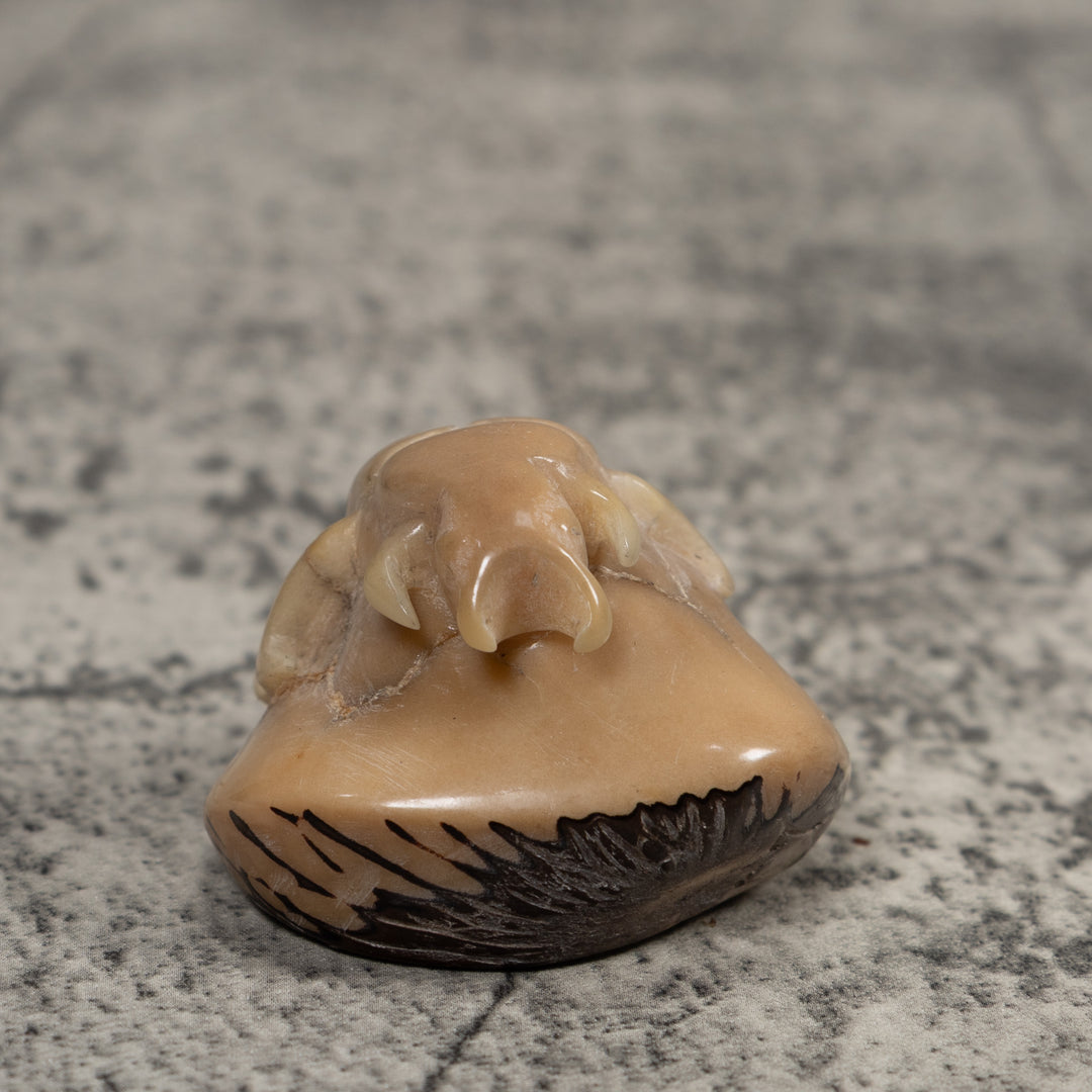Vintage White Natural Insect Tagua Carving