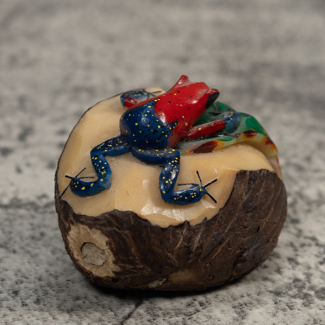 Red And Blue Poison Dart Frog Frog Tagua Carving