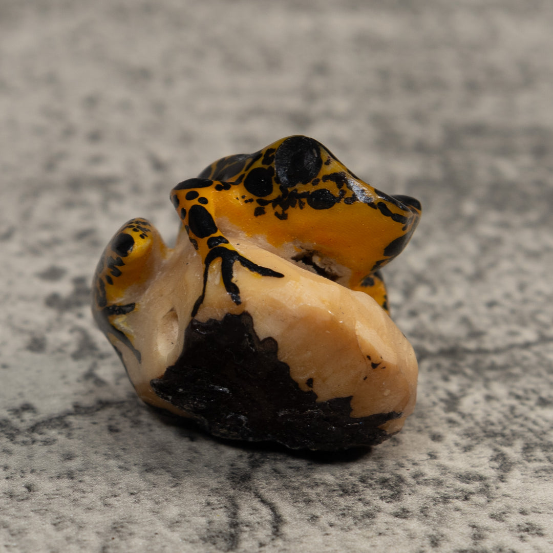 Brown And Black Poison Dart Frog Tagua Carving