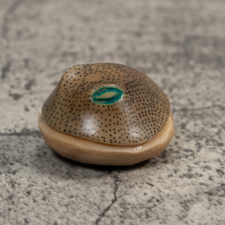 Ocean Stingray Tagua Carving