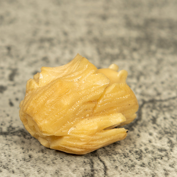 Natural White Neque Agouti And Wood Log Tagua Carving