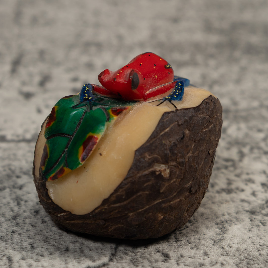 Red And Blue Poison Dart Frog Frog Tagua Carving