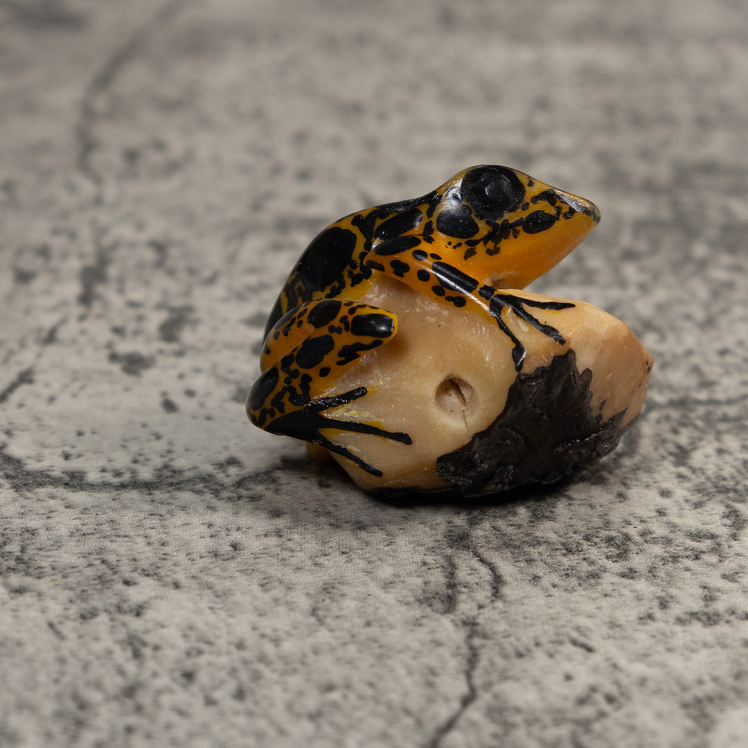 Brown And Black Poison Dart Frog Tagua Carving