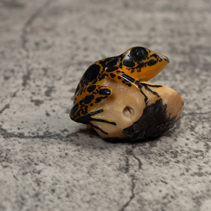 Brown And Black Poison Dart Frog Tagua Carving